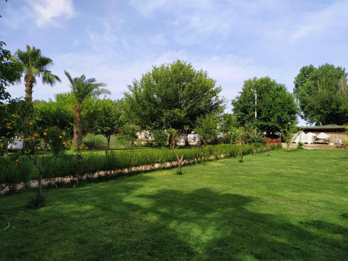 Olympos Yavuz Hotel Çıralı Exterior foto