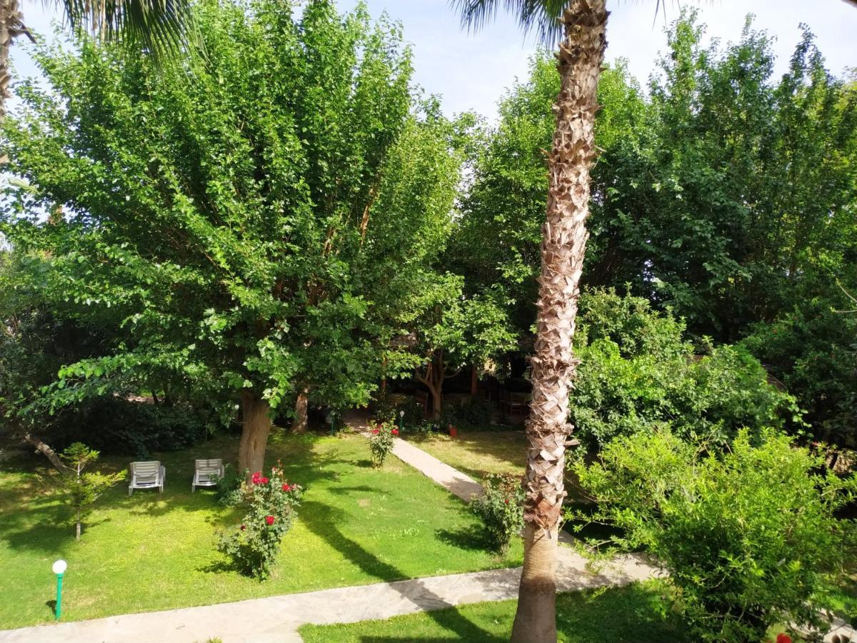 Olympos Yavuz Hotel Çıralı Exterior foto