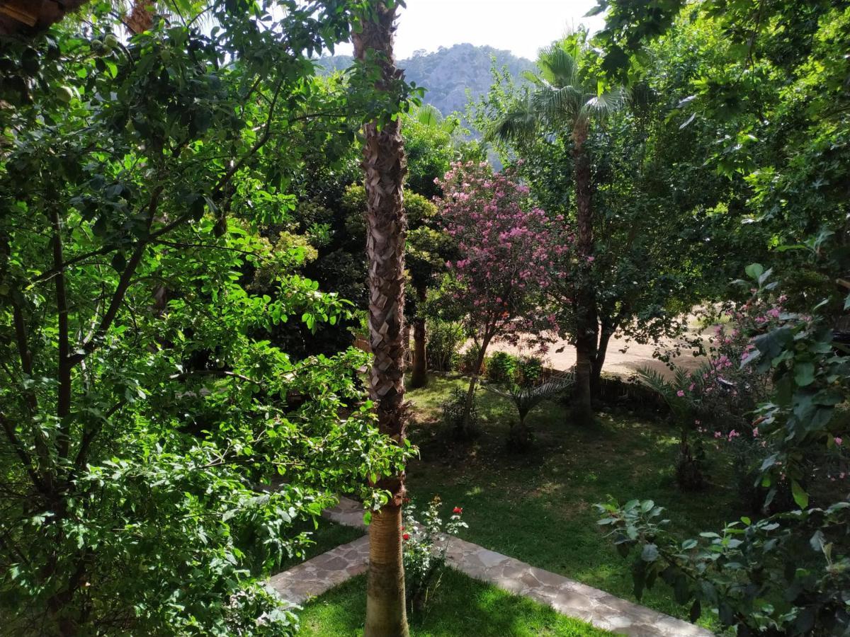 Olympos Yavuz Hotel Çıralı Exterior foto