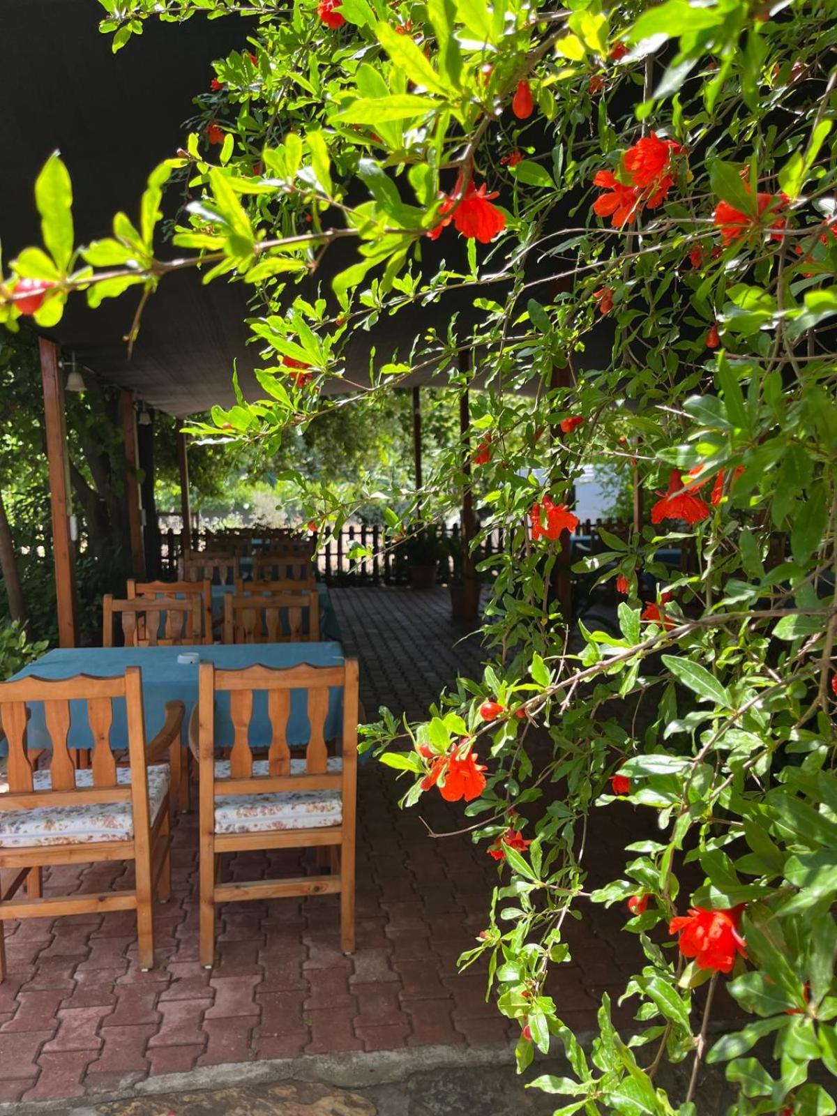 Olympos Yavuz Hotel Çıralı Exterior foto